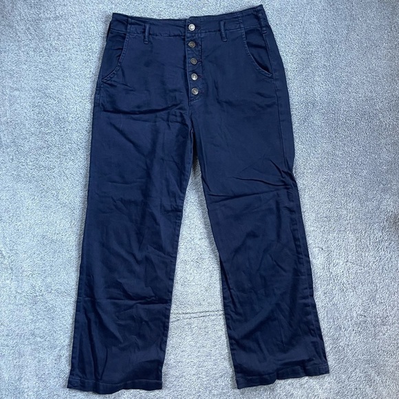 Anthropologie Pants - 𝅺PILCRO Anthropologie Navy Button Fly Wide Leg Pants